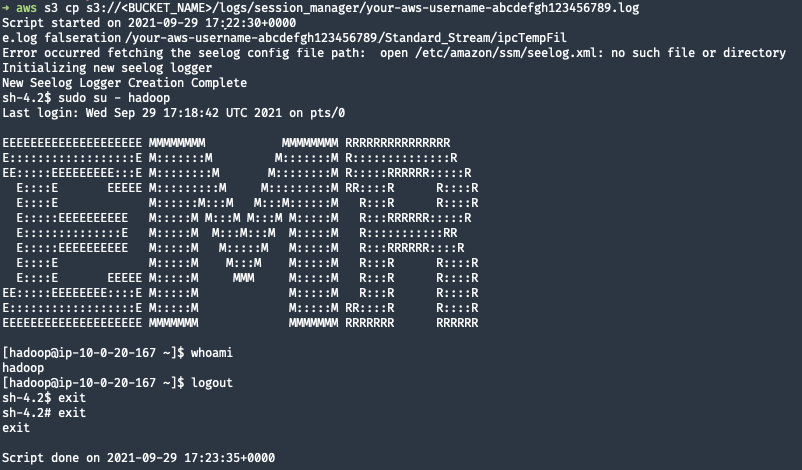 SSM Log Output